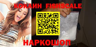 индика Гатчина
