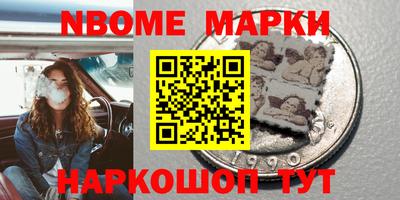 индика Гатчина