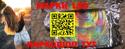 индика Гатчина