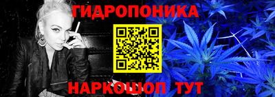 индика Гатчина