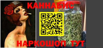 индика Гатчина