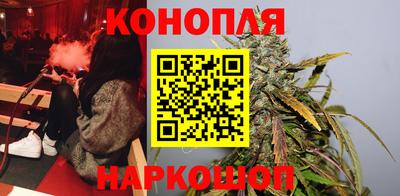 индика Гатчина