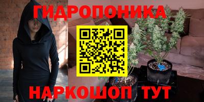 индика Гатчина